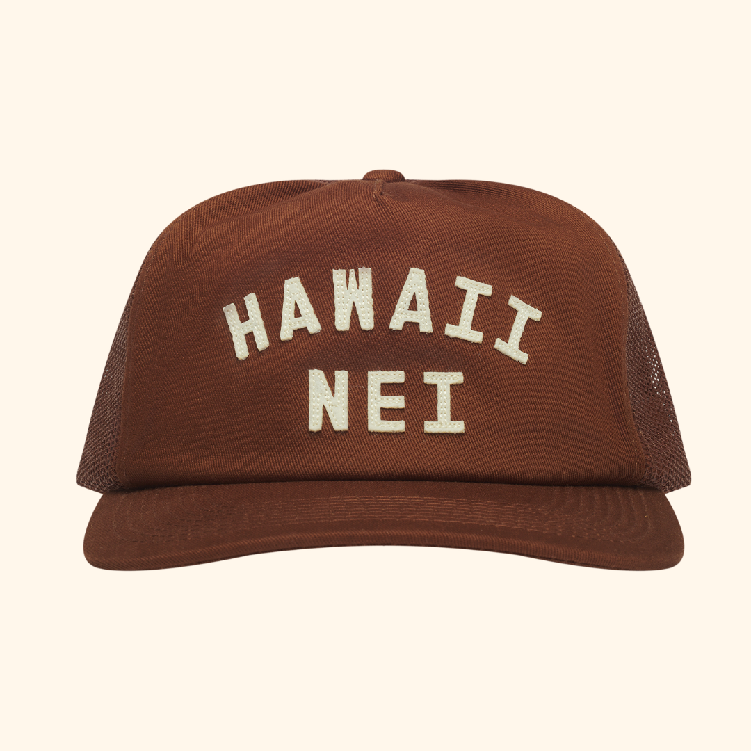 Hawaii Nei Felt Hat Brown
