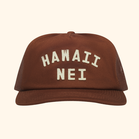 Hawaii Nei Felt Hat Brown